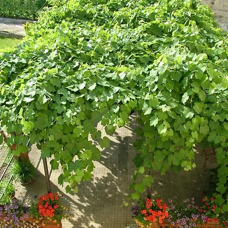 Relais Buonfanti *