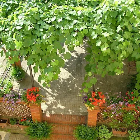 Bed & Breakfast Relais Buonfanti